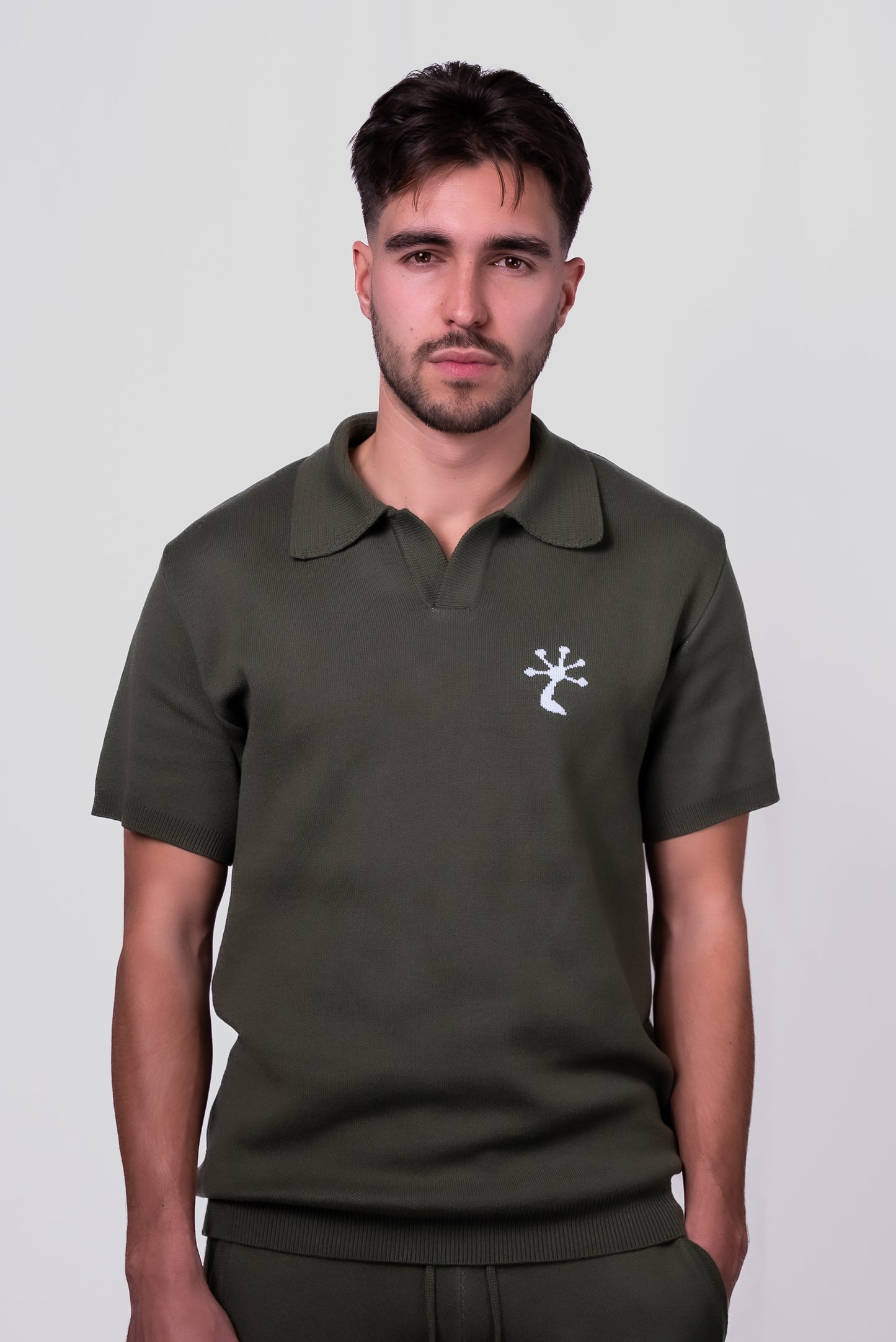 POLO -TRICOT JACQUARD- (Vert)